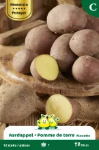 Aardappel Alouette 12 St.