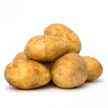 PLANTAARDAPPEL BINTJE
