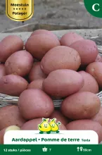 Aardappel Texla 12 St.