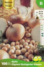 Ajuin Stutgarter 100 St.