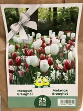 Breughel Mengsel Breughel Mengsel