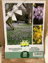 Verwilderingsbollen Mengsel