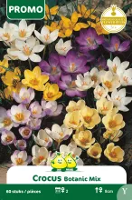 Crocus Botanische Mix
