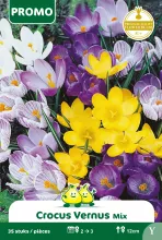 Crocus Mix