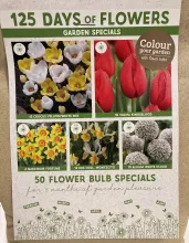 125 Days of Flowers wit-geel-rood 125 Days of Flowers wit-geel-rood