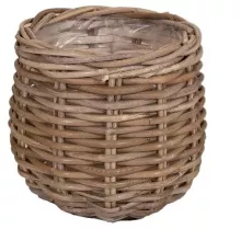EVI CAULDRON SP