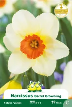 Narcis 'Barrett Browning'