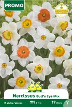 Narcis 'Bull's Eye Mix'