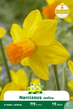 Narcis 'Jetfire'