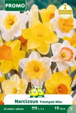 Narcis Mix