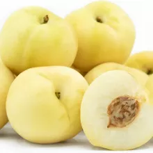 Perzik 'ICE PEACH'