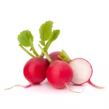 RADIJS