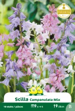 Scilla campanulata Mix