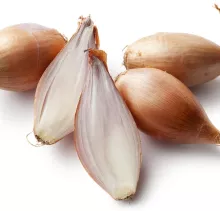 PLANTSJALOT LONGOR - CUISSE DE POULET