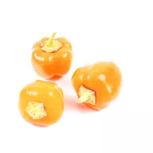 PICK & JOY Snack Pepper Yellow