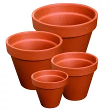 FLOWERPOT TERRA