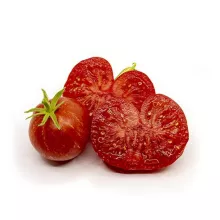 TOMAAT CASCADE