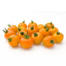 PLUKTOMAAT CHERRY oranje