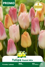 Tulp Pastel Mix