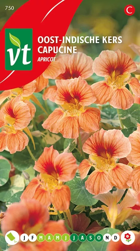OOSTINDISCHE KERS APRICOT