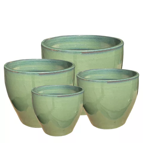 MALAY OLIVE POT JADE