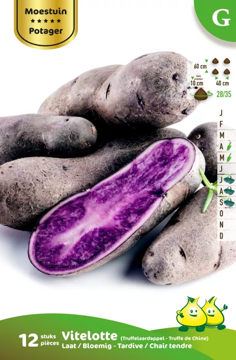 Aardappel Vitelotte