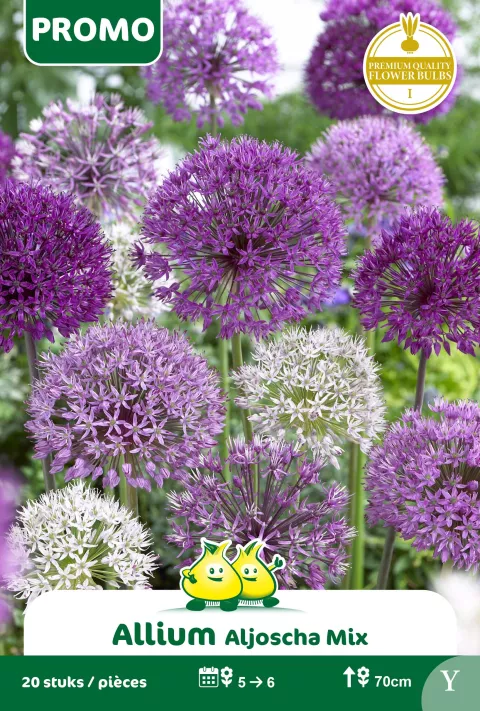 Allium Mix