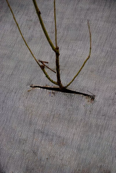 BIO GRONDDOEK (per rol)