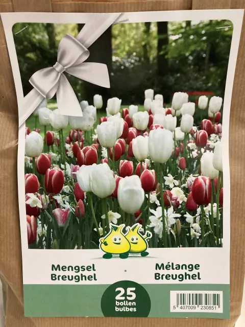 Breughel Mengsel Breughel Mengsel