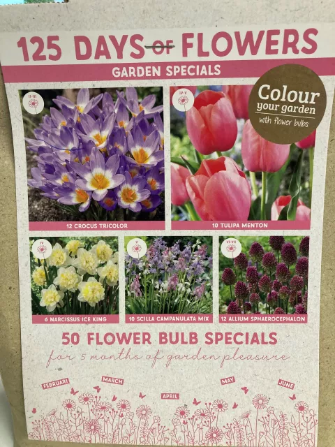 125 Days of Flowers roze-paars-geel 125 Days of Flowers roze-paars-geel