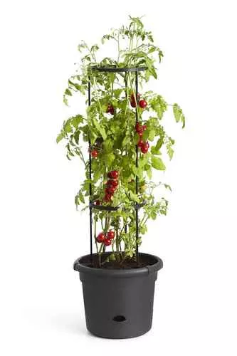 ELHO GREEN BASICS TOMATENPOT LIVING BLACK