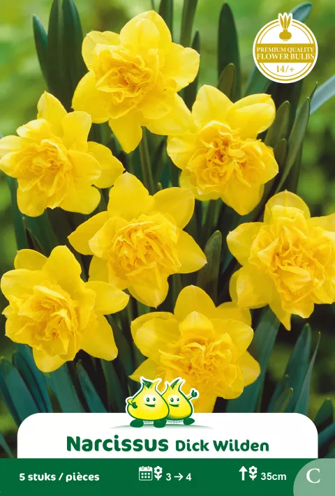 Narcis 'Dick Wilden'