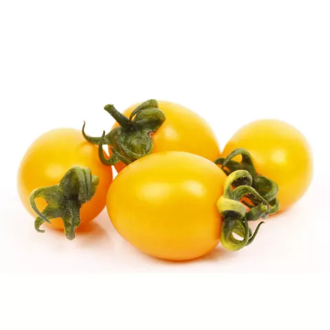 PICK & JOY Cherry Tomato Yellow