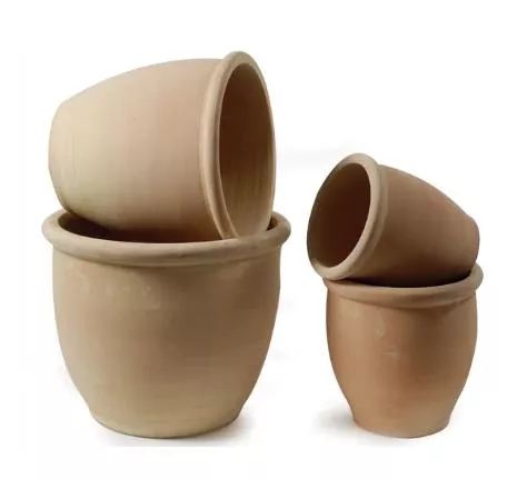 STAN CHERRY POT