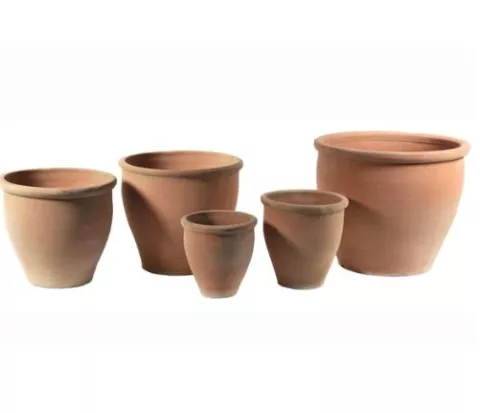 STAN CHERRY POT