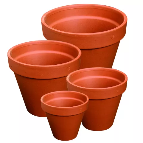 FLOWERPOT TERRA