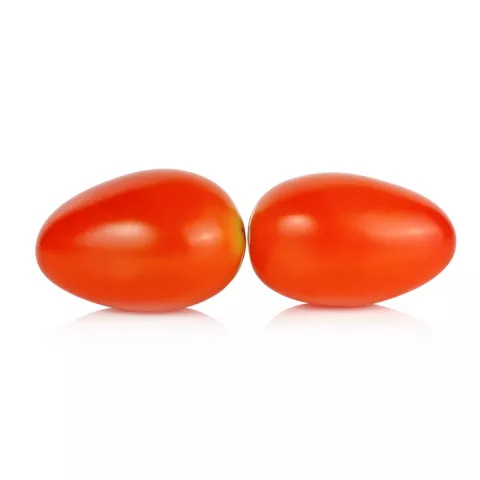 TOMAAT TUTTI FRUTTI