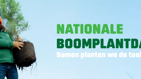 Nationale Boomplantdag